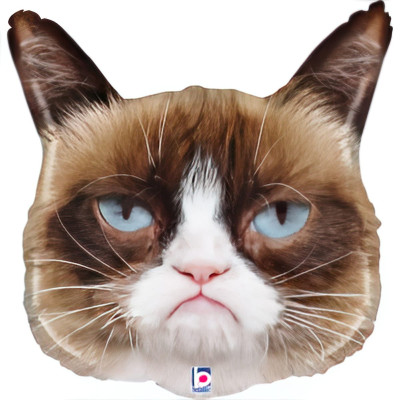 Сердита кішка Гремпі Cat без ковпаку